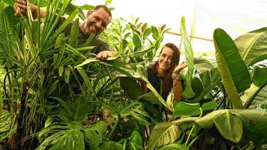 Empezaron con 20 plantas en Roca y hoy venden miles en la Patagonia: el boom de un vivero y de una influencer de los jardines
