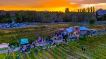 Imagen de Vendimia al atardecer en Des De La Torre: copas, música y viñedos en Chos Malal