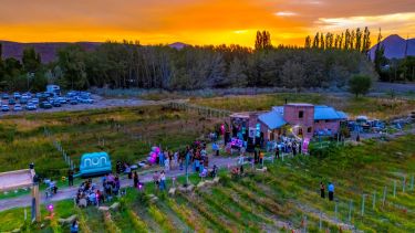Vendimia al atardecer en Des De La Torre: copas, música y viñedos en Chos Malal