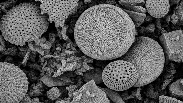 Microplásticos y contaminación en el agua: una científica argentina creó un innovador filtro para el hogar