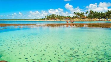 Viaje al litoral de Brasil: el refugio de playas cálidas que eligen los argentinos