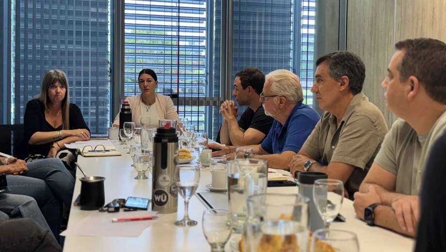 El objetivo fue recibir asesoramiento técnico sobre los beneficios e incentivos vigentes. Fotos gentileza Gobierno de Río Negro.