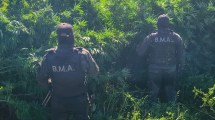 Imagen de Hallaron una megaplantación de marihuana en una isla del río Negro en medio de un inédito despliegue policial