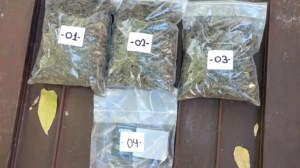 Buscaban un arma en un allanamiento en Cipolletti, pero hallaron droga, municiones y ampliaron la investigación