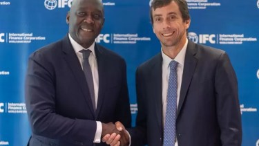 Impulso verde: El Parque Eólico Rivadavia consiguió un financiamiento por US$ 275 millones