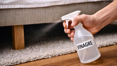 Feng Shui: por qué poner vinagre debajo de la cama puede mejorar la energía del dormitorio
