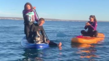 ¡Increíble! Rescataron a un perro en el mar Chubut: hace cuatro días era buscado por su familia