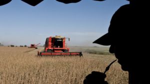 Casi el 50% de los plaguicidas usados en cultivos de América Latina serían demasiado peligrosos para Europa 