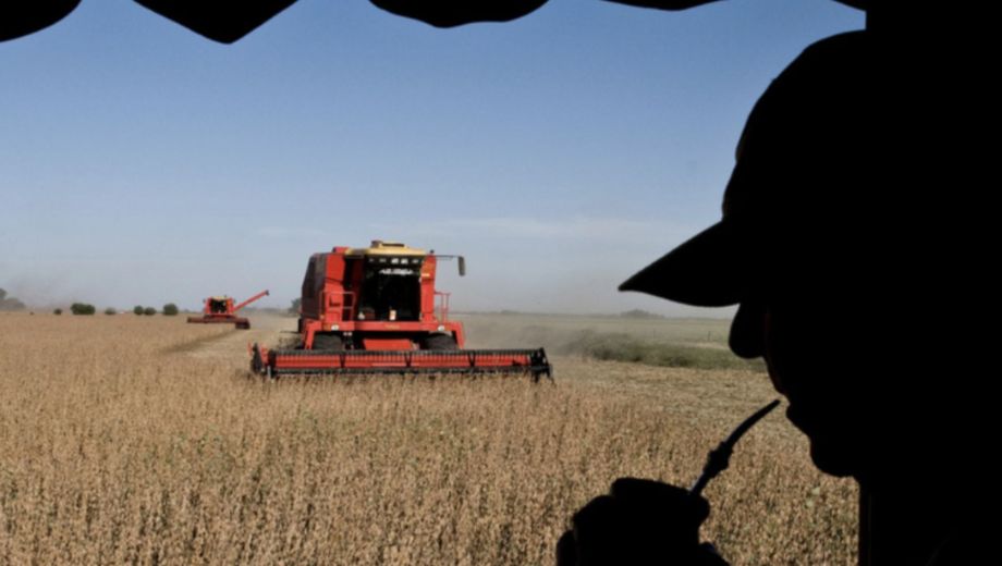 El nuevo estudio revela la disparidad regulatoria en el uso de plaguicidas entre América Latina y la Unión Europea 