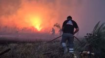 Imagen de Incendio forestal en Mar del Plata: las llamas arrasaron más de 200 hectáreas