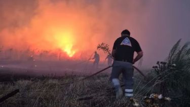 Incendio forestal en Mar del Plata: las llamas arrasaron más de 200 hectáreas
