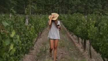 Vivir el tiempo de vendimia en Patagonia y asomarse al momento en que la uva se convierte en vino
