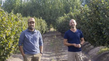 Avellanas en la Patagonia: cómo un proyecto familiar se convirtió en una inversión de alto potencial en el Valle Inferior