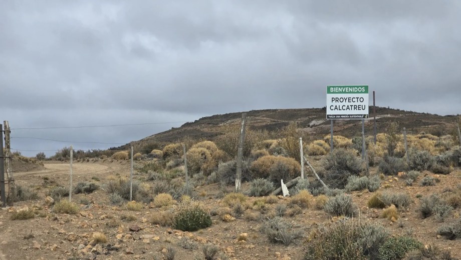 Río Negro prepara su primer salto exportador: el proyecto minero Calcatreu enviará oro y plata al exterior en 60 días