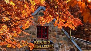 Semana Santa en la Comarca Andina: propuestas para disfrutar del otoño entre bosques, ferias y refugios