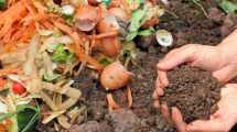 Imagen de Compost: el fertilizante natural que fortalece tu jardín en otoño y ayuda a resistir las heladas