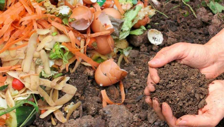 El compost: el fertilizante natural clave para fortalecer tu jardín en otoño.-