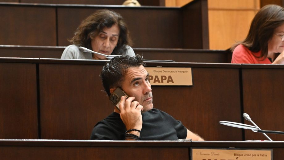 Darío Martínez diputado provincial de Unión por la Patria cuestionó beneficios del Rigi (Matías Subat)