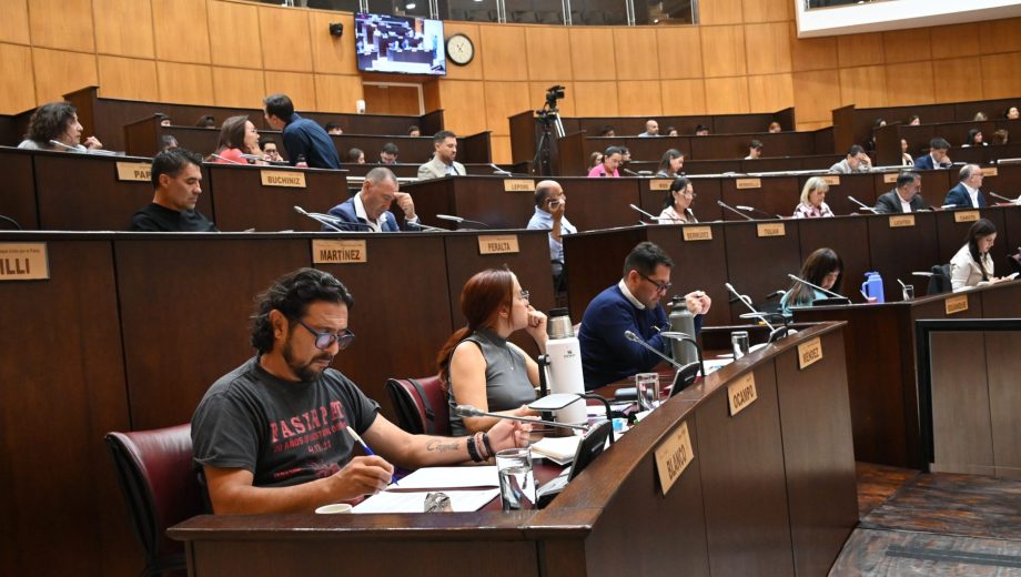 Esta semana sesiona la Cámara -miércoles y jueves- por lo que podrían aprobar la resolución. Florencia Salto.