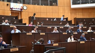 Los narcotest en la Legislatura se demoran hasta agosto, con el proyecto de Domínguez como favorito