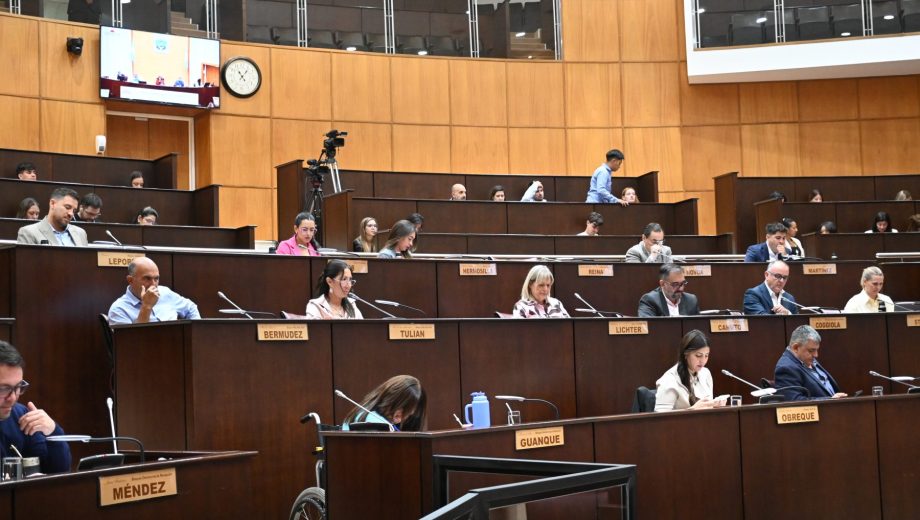 El protocolo no consiguió despacho ayer, por lo que es díficil que se vote en las sesiones del 29 y 30 de julio, al regreso del receso. Foto Florencia Salto.