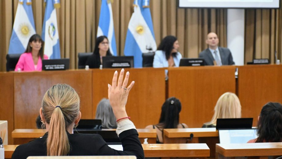 La declaración de interés municipal se votó en la sesión de ayer del Concejo. Florencia Salto.