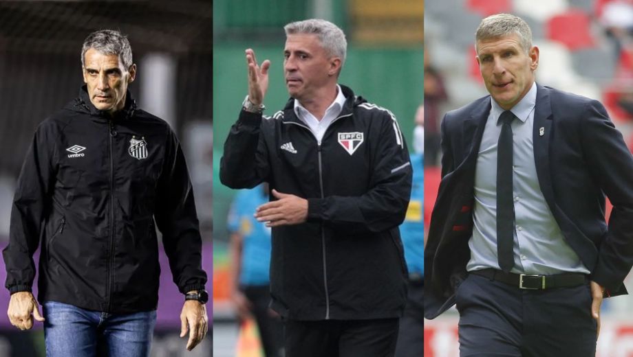 Vojvoda, Crespo y Palermo vienen de experiencias en el Brasileirao y suenan como sucesores de Anselmi en Botafogo.