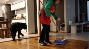 Guía rápida para el cálculo del 1% de antigüedad en empleadas domésticas: marzo 2026