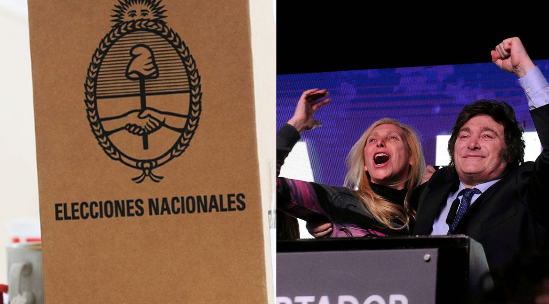El gobierno de Milei busca eliminar las PASO y desarticular a la ...