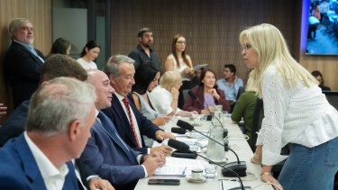 Reforma de la Ley de Glaciares: la oposición impuso audiencias y estiró la definición hasta abril