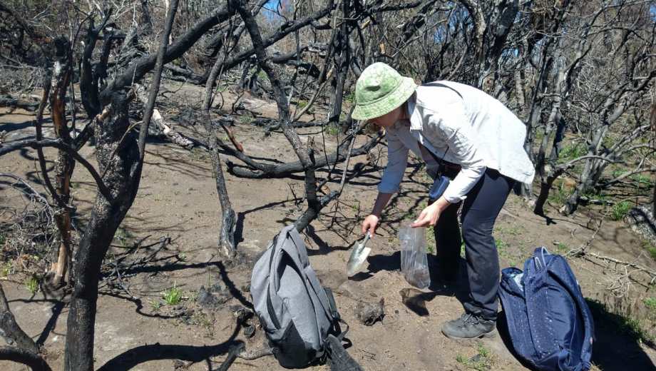 Las muestras del suelo se tomarno en 2021 y el informe fue elaborado por un equipo del Ciefap. Foto: gentileza 
