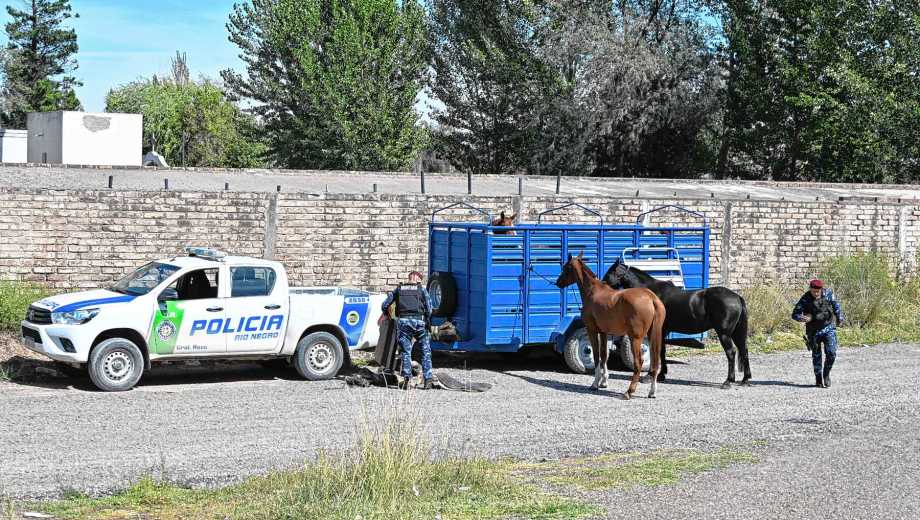 Efectivos de la Brigada Rural recorrerán el sector con la división caballeriza. Foto Juan Thomes.