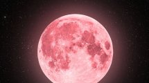 Imagen de Luna llena de abril 2026: cuándo y a qué hora ver la «Luna Rosa» en Argentina
