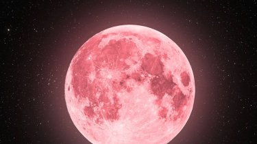 Luna llena de abril 2026: cuándo y a qué hora ver la «Luna Rosa» en Argentina