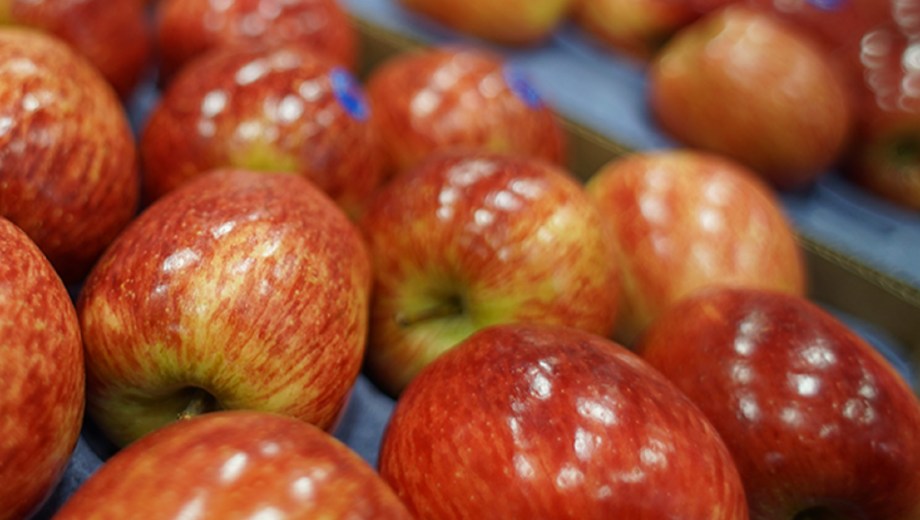 Un estudio detectó pesticidas en el 85% de manzanas analizadas.