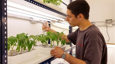 «NanoQlay»: el fertilizante inteligente creado por un joven de Neuquén que busca ganar en Francia