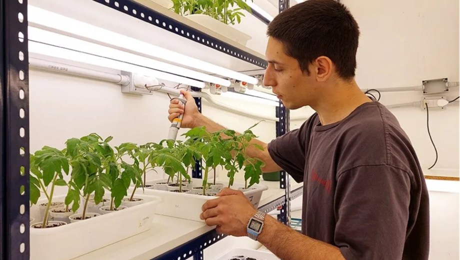 Jeremías Benjamín, un joven becario doctoral del Conicet, viajará a fin de mes a Francia para presentar su proyecto “NanoQlay. (Foto: Gentileza).