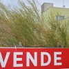 Imagen de Alquiler y venta de inmuebles: cómo impacta la nueva exención del impuesto a las ganancias sobre la rentabilidad inmobiliaria