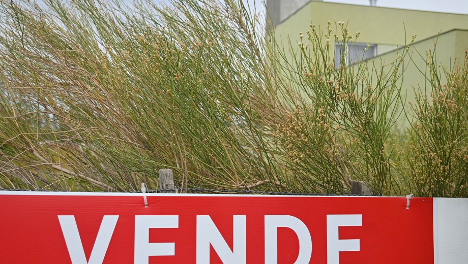 Nuevos incentivos fiscales prometen ampliar la oferta de vivienda, impulsar la inversión y mejorar la rentabilidad. Foto: Florencia Salto.