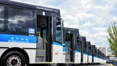 Neuquén amplía el servicio COLE: cuáles son las nuevas líneas y a qué barrios llegarán