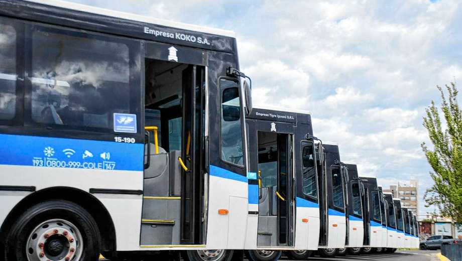 El municipio mostró 36 colectivos cero kilómetro que se sumarán al sistema COLE en la capital neuquina. Foto: Matías Subat.