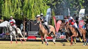 Polo, vendimia y atardecer en Neuquén: el color de la previa antes del gran cierre de Copa Los Hermanos en La Sarita