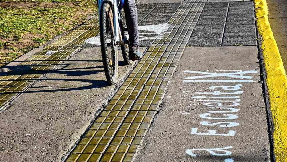 Los juicios en Neuquén reflejaron la dimensión de la dictadura en la región (foto Matías Subat)