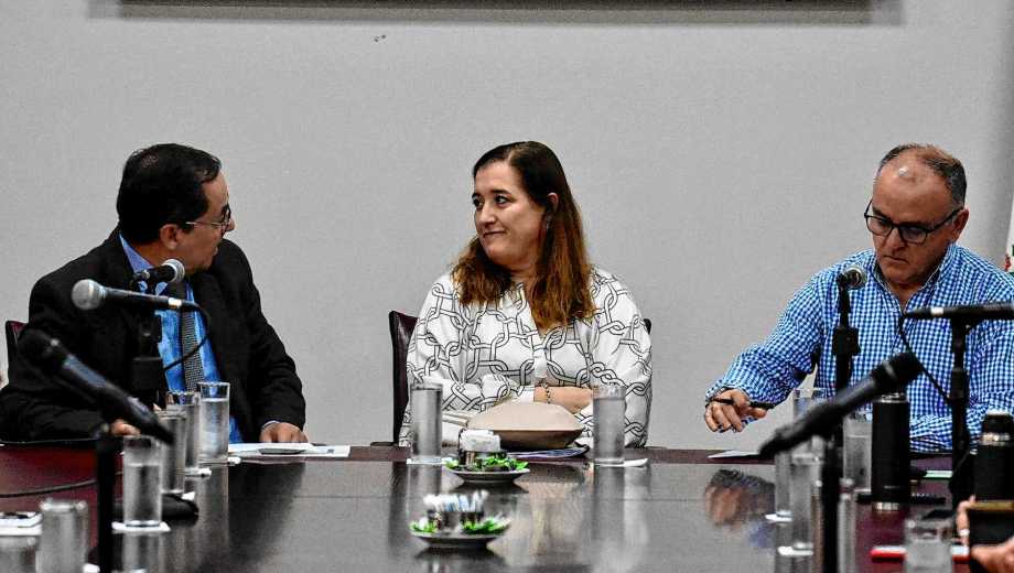 Marcela Serrano ganó un concurso para ser jueza de la Cámara Civil. Foto: Matías Subat.