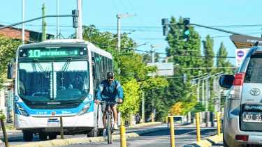 Aumenta el colectivo en Neuquén, cuándo se activa