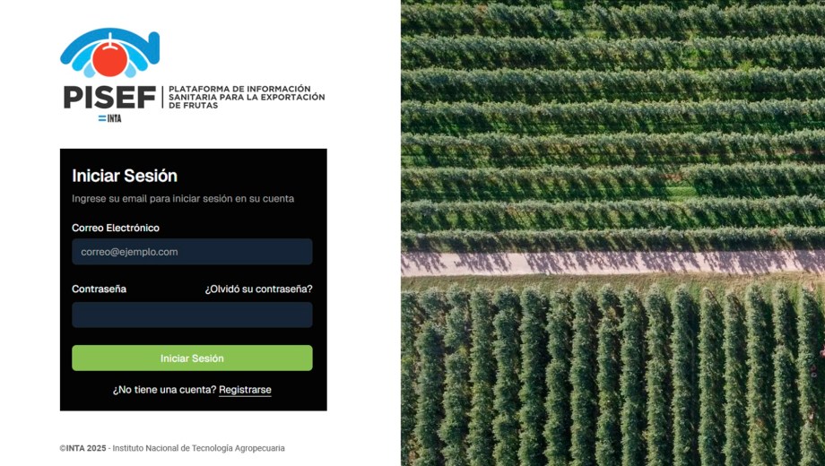 Pisef, la nueva plataforma de INTA para diseñar planes sanitarios en frutales.