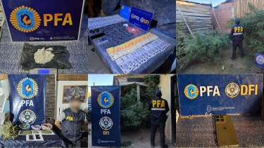 Golpe al narcomenudeo en Cipolletti: dos casas conectadas, plantas de cannabis y cientos de dosis incautadas