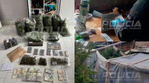 Investigaban una casa por olor a marihuana y hallaron 24 kilos de cannabis en un operativo en Aluminé