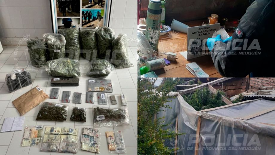 Durante el allanamiento en Aluminé la policía secuestró más de 24 kilos de marihuana, dinero en efectivo y elementos utilizados para el cultivo y fraccionamiento de droga.
