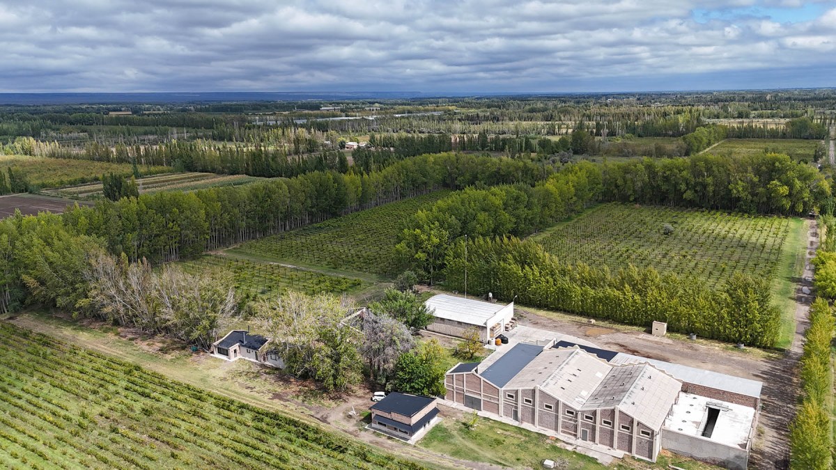 El (casi) centenario edificio donde funcionó una champañera y donde hoy se elaboran vinos que desde la Patagonia conquistan la mismísima meca de la vitivinicultura.